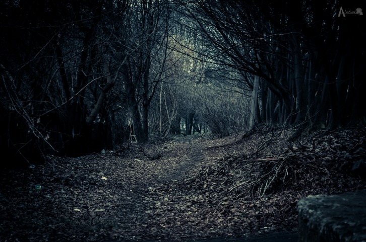 dark web markets reddit 2023