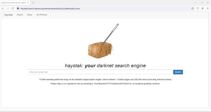 browse dark web