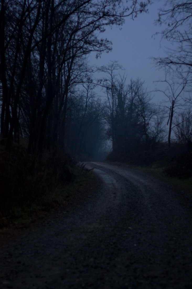 dark web prepaid cards reddit