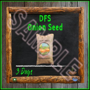 onion marketplace drugs