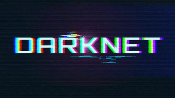 darknet reinkommen