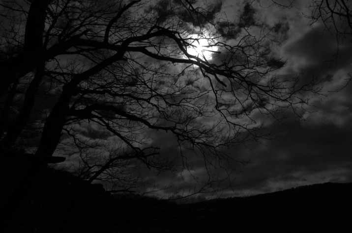 dark web links 2023 reddit