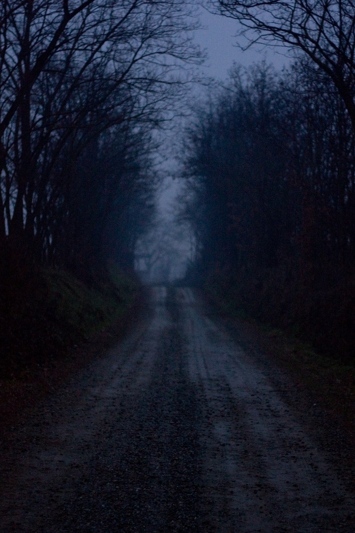 dark web search engine 2023