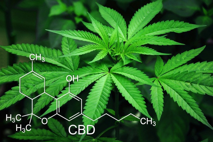 weed darknet market