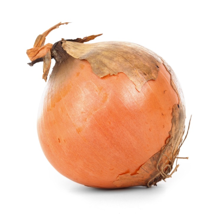 onion deep web wiki
