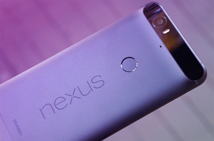 nexus darknet