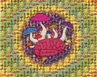 where can i buy lsd