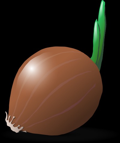 onion linkek