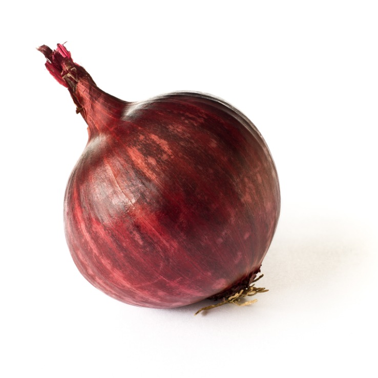 onion links 2025