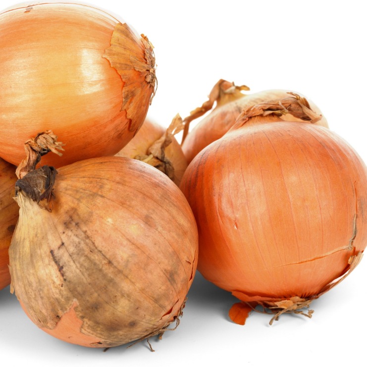 onion dark web list