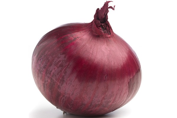 onion links for deep web