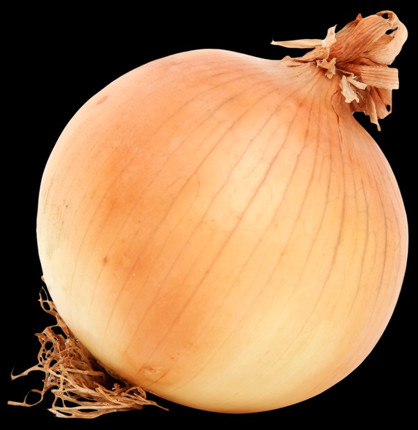 onion directory 2025