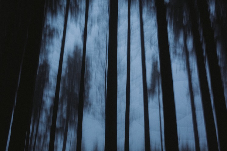 dark web markets 2023