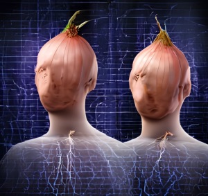 tor market links 2025
