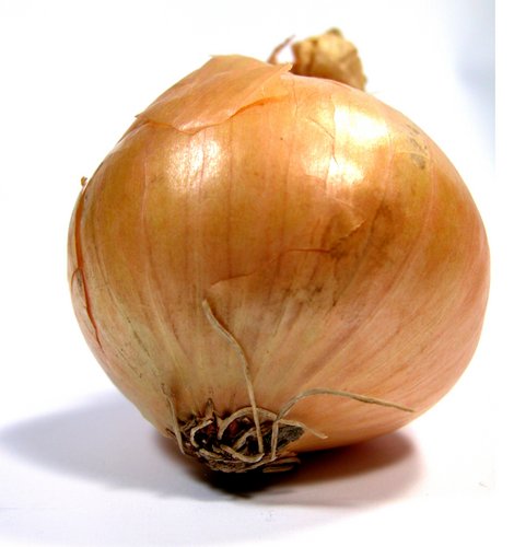 onion dark web list