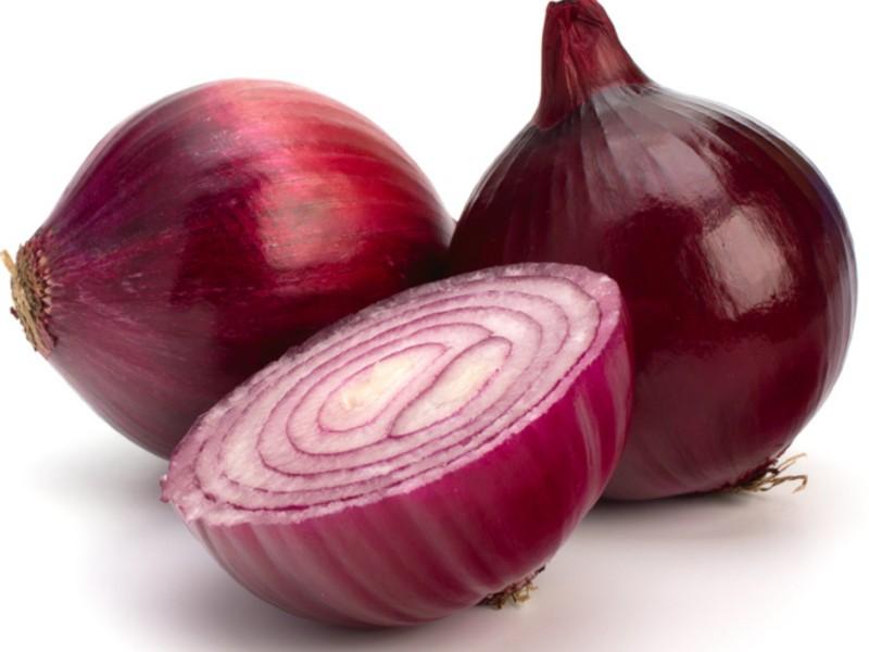 onion dark web