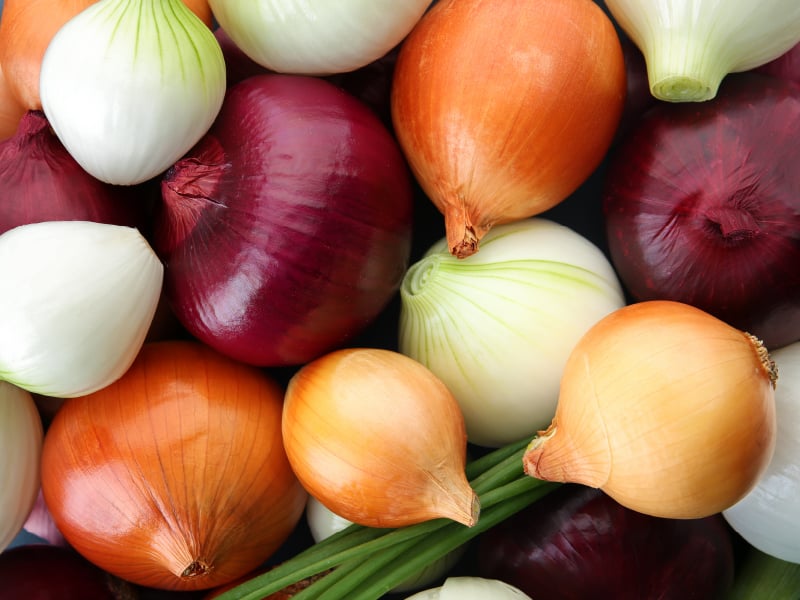 onion links credit card