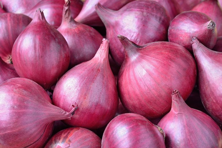 onion link
