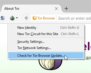 how to access the dark web safely reddit